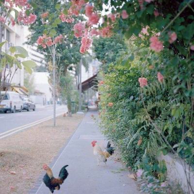 九游会演示计划